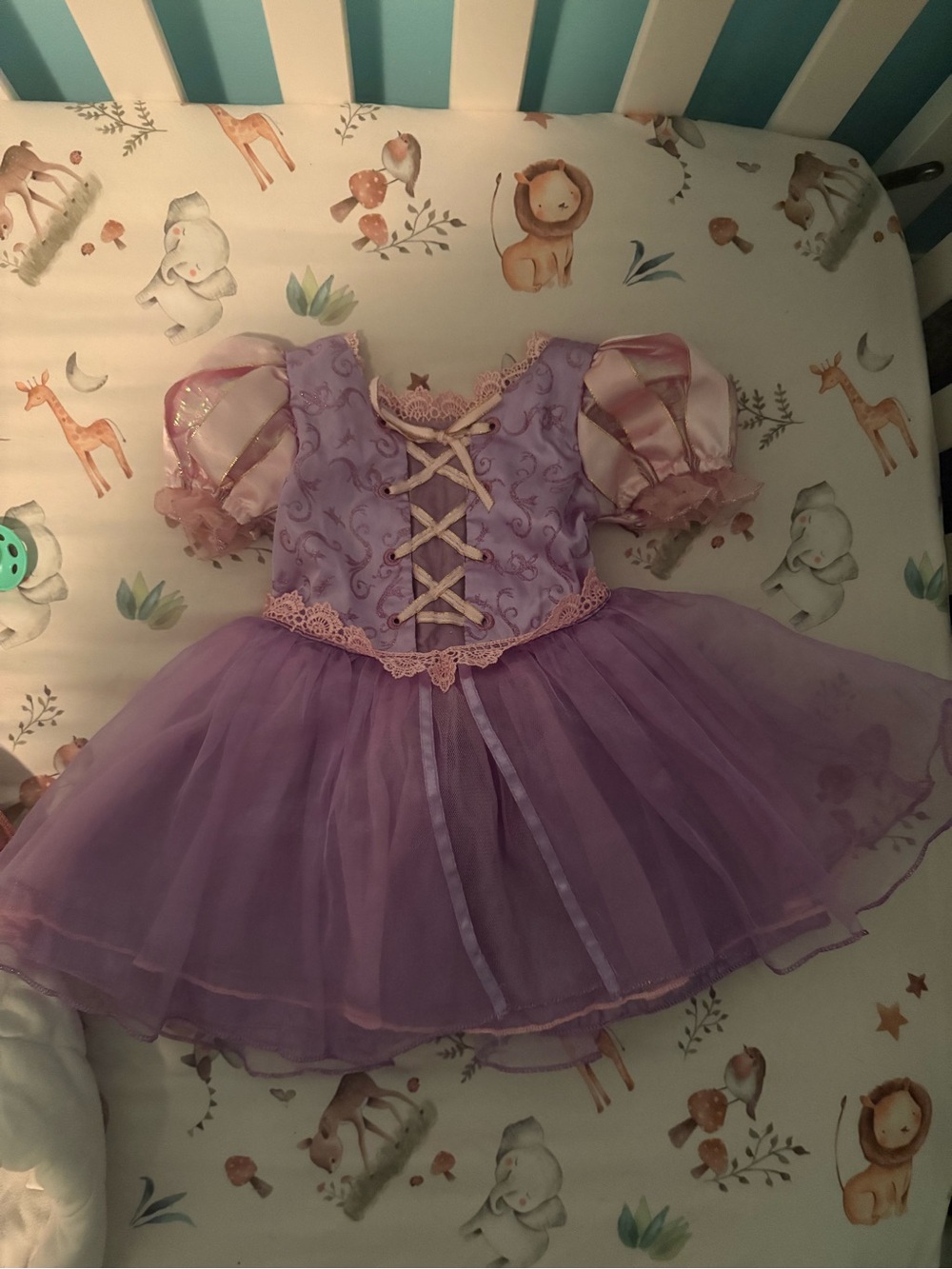 Rapunzel Costume